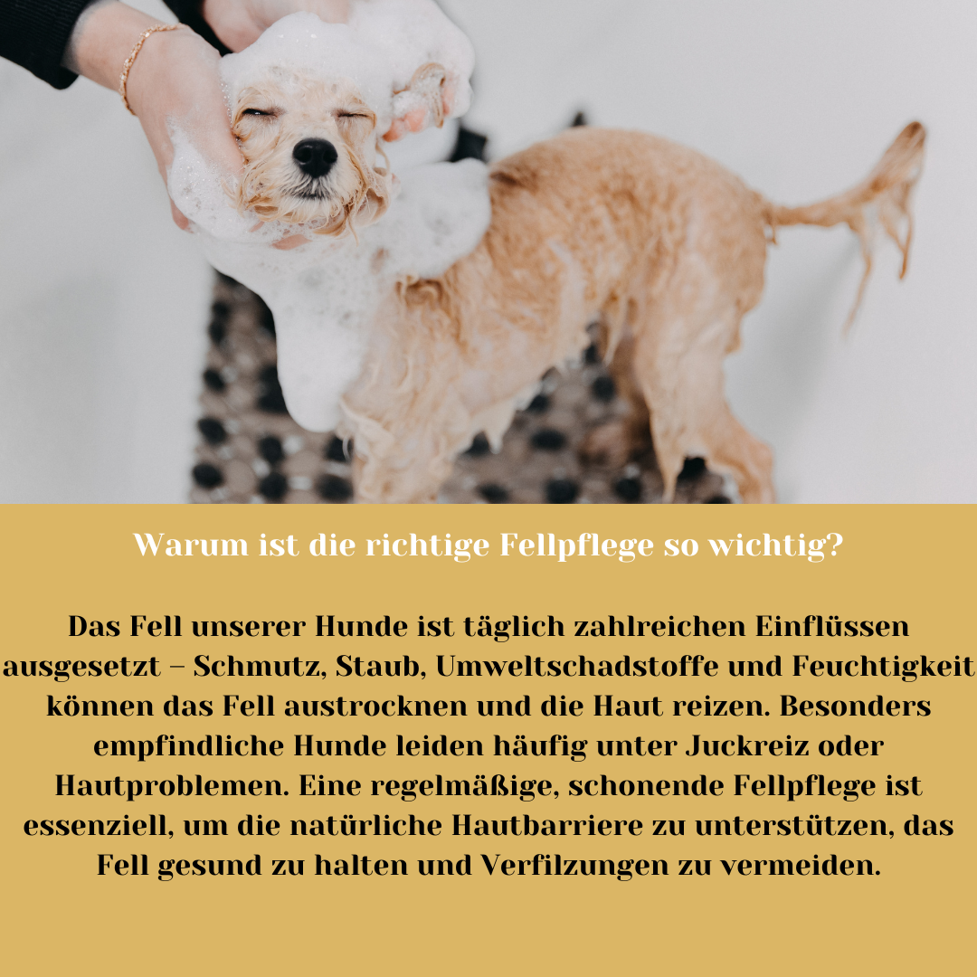 Riolino Shiny Fur Shampoo – Sanfte Pflege für glänzendes Fell
