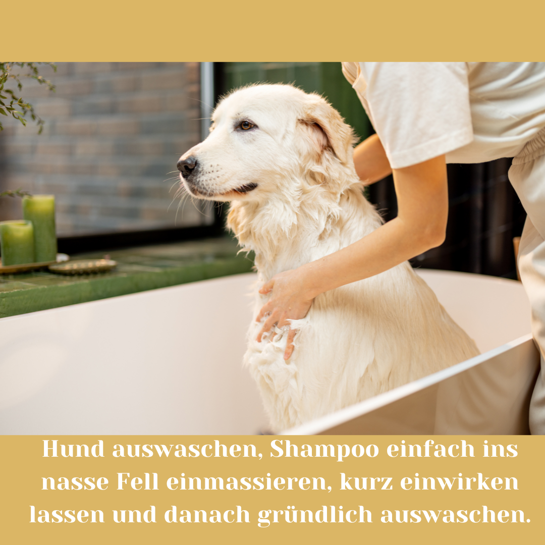 Riolino Shiny Fur Shampoo – Sanfte Pflege für glänzendes Fell