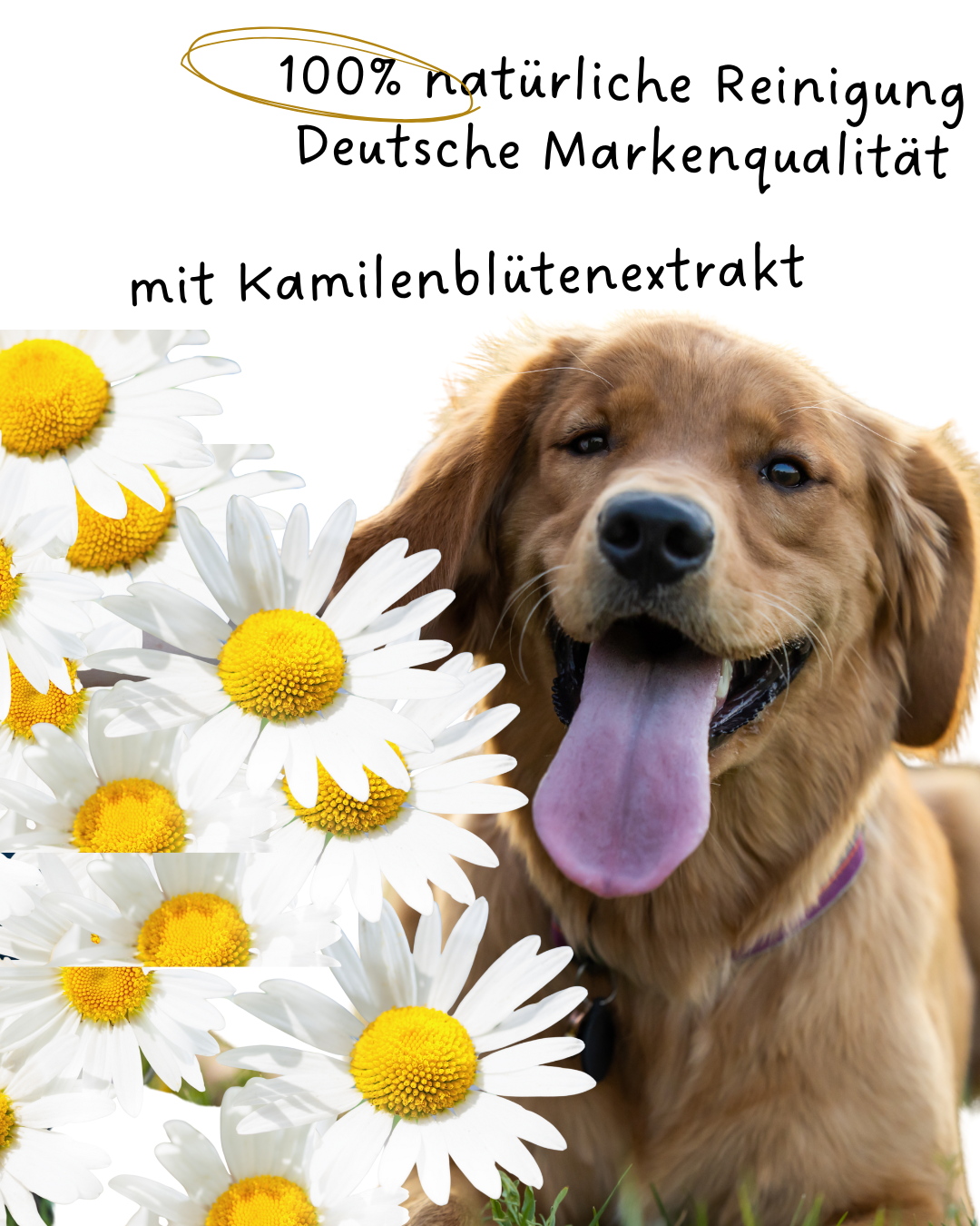 Riolino PureEars– Sanfte Reinigung für empfindliche Ohren