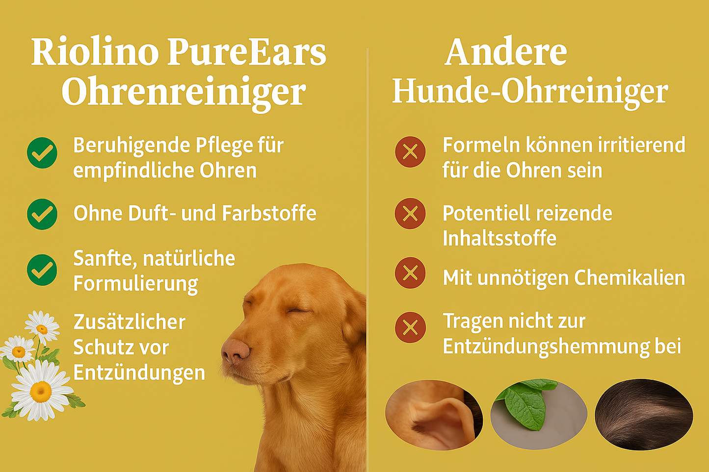 Riolino PureEars– Sanfte Reinigung für empfindliche Ohren