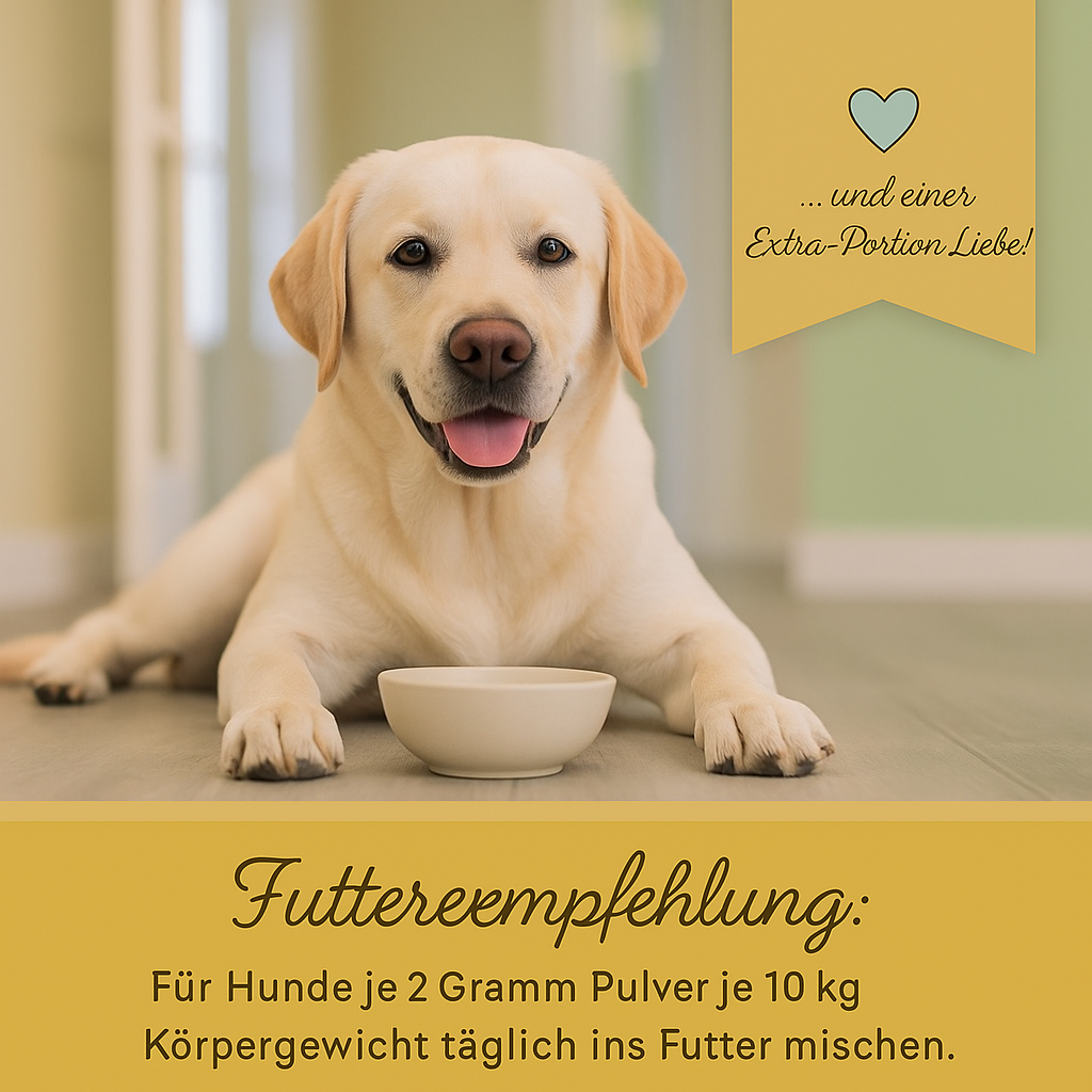 Riolino FreshBite – Natürliche Zahnpflege für Hunde