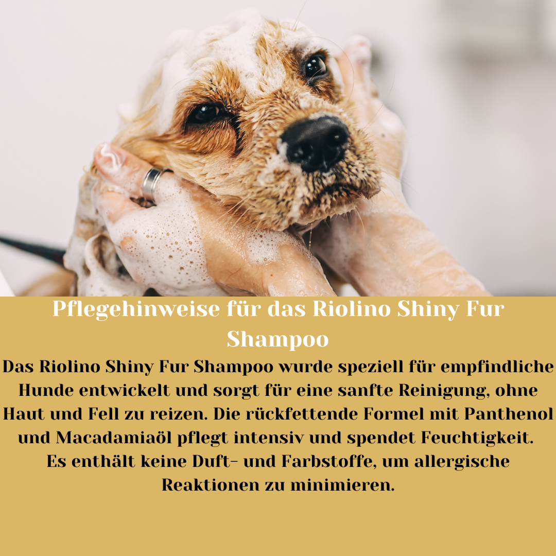 Riolino Shiny Fur Shampoo – Sanfte Pflege für glänzendes Fell