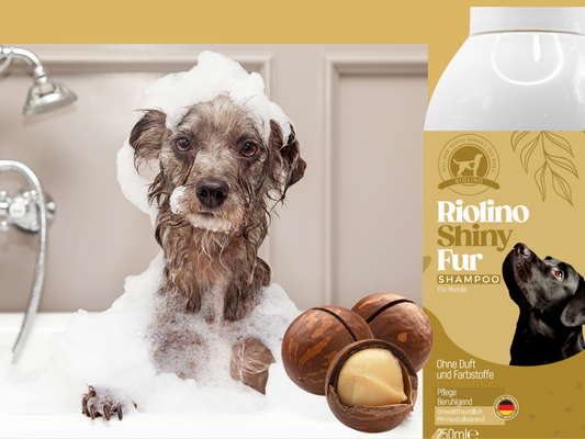 Riolino Shiny Fur Shampoo – Sanfte Pflege für glänzendes Fell