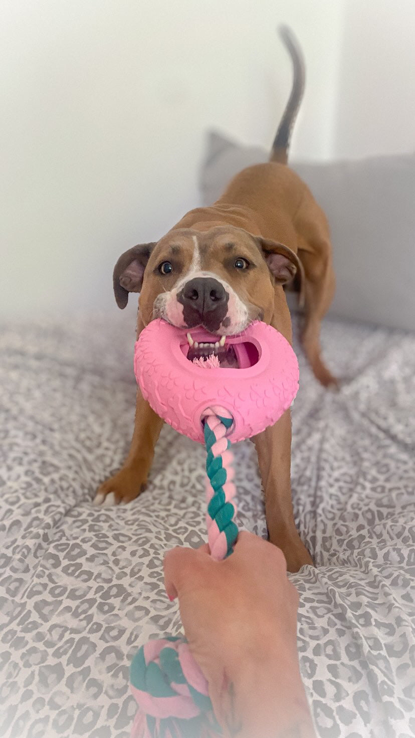 Hund zieht am rosa Riolino PowerRing, eine Hand hält das Seil