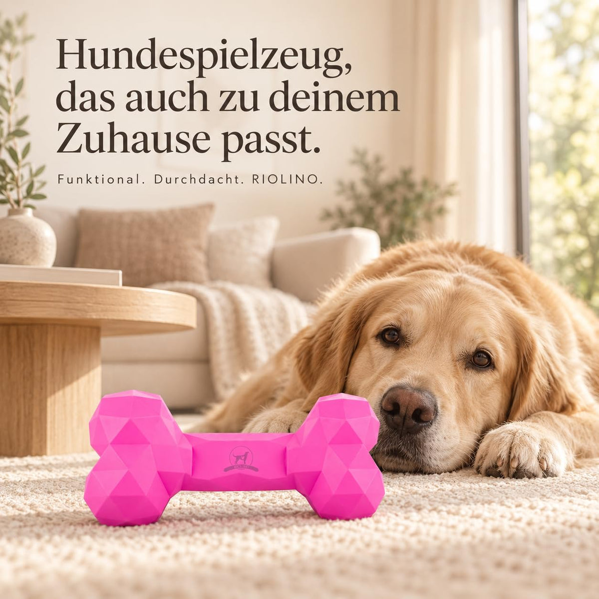 Diamond Bone in Hot Pink liegt auf einem hellen Teppich im Wohnzimmer, dahinter ruht ein Golden Retriever
