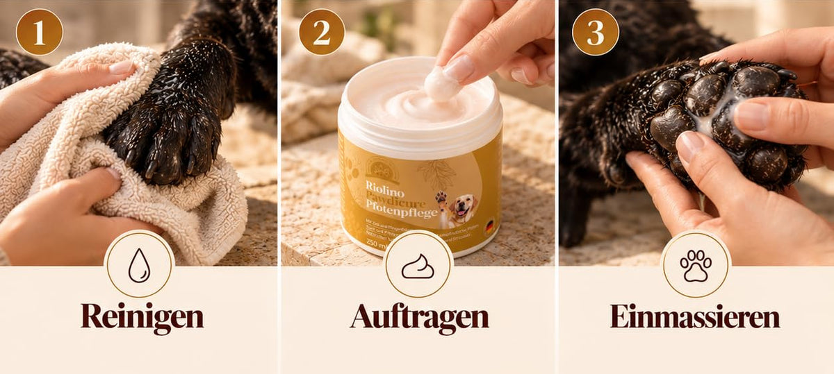 Anwendung von Riolino Pawdicure in drei Schritten: Pfote mit einem Handtuch säubern, Balsam aus dem Tiegel nehmen, in die Pfotenballen einmassieren