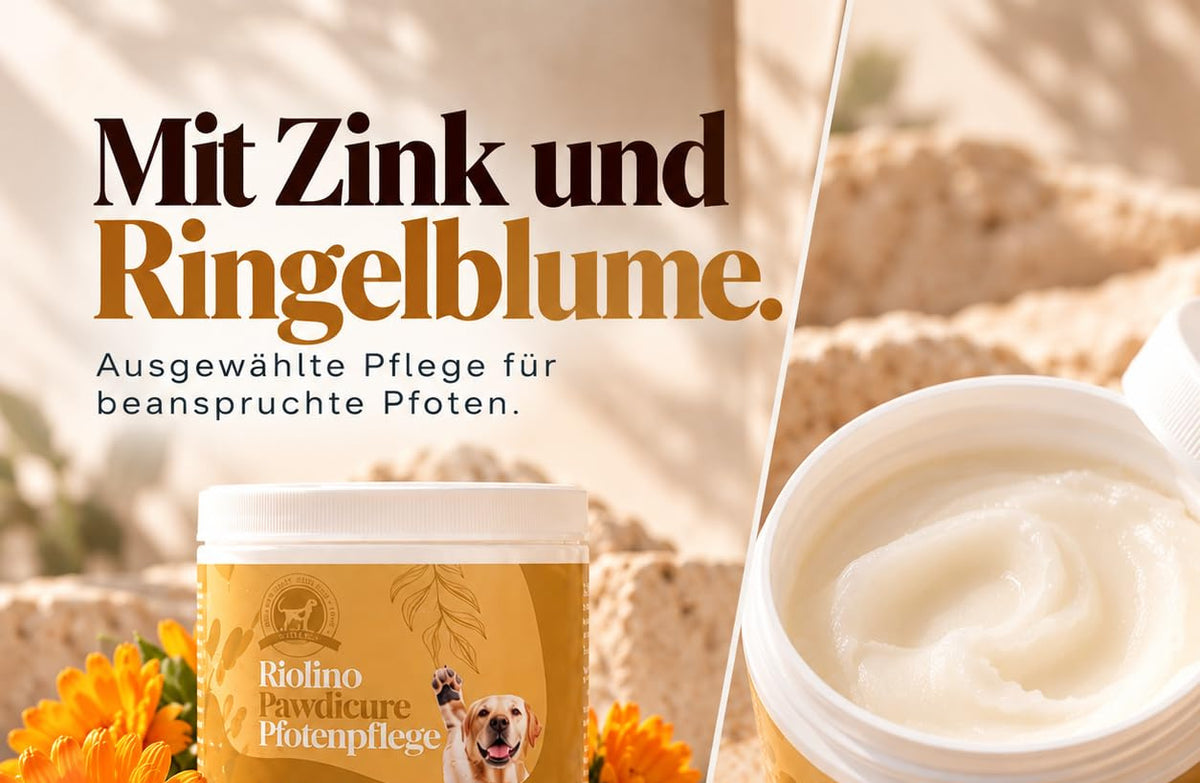 Tiegel Riolino Pawdicure mit Ringelblüten und ein geöffneter Tiegel mit Balsam auf hellem Stein