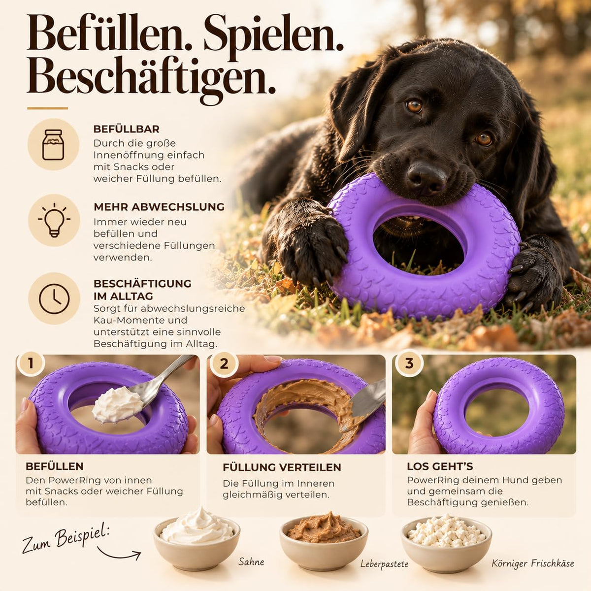 Riolino PowerRing in Velvet in drei Schritten befüllen, daneben liegt ein Labrador mit dem Ring im Herbstlaub